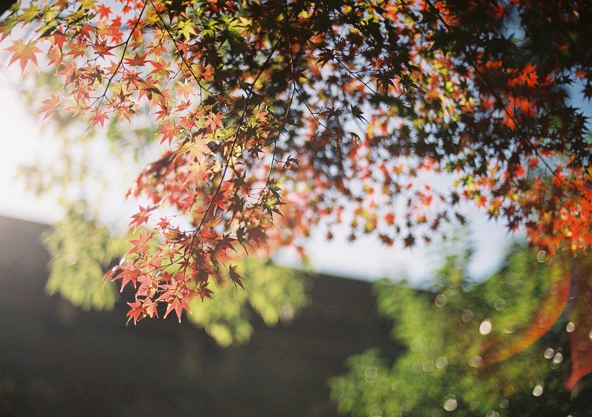 風待 凪 tweet media