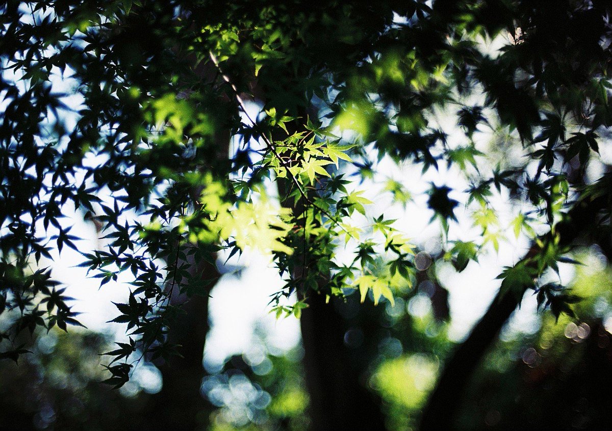 風待 凪 tweet media