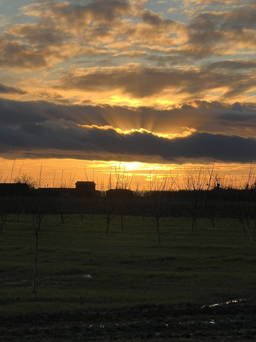docisa33's tweet photo. #macampagne https://t.co/FXi8E0bzCw