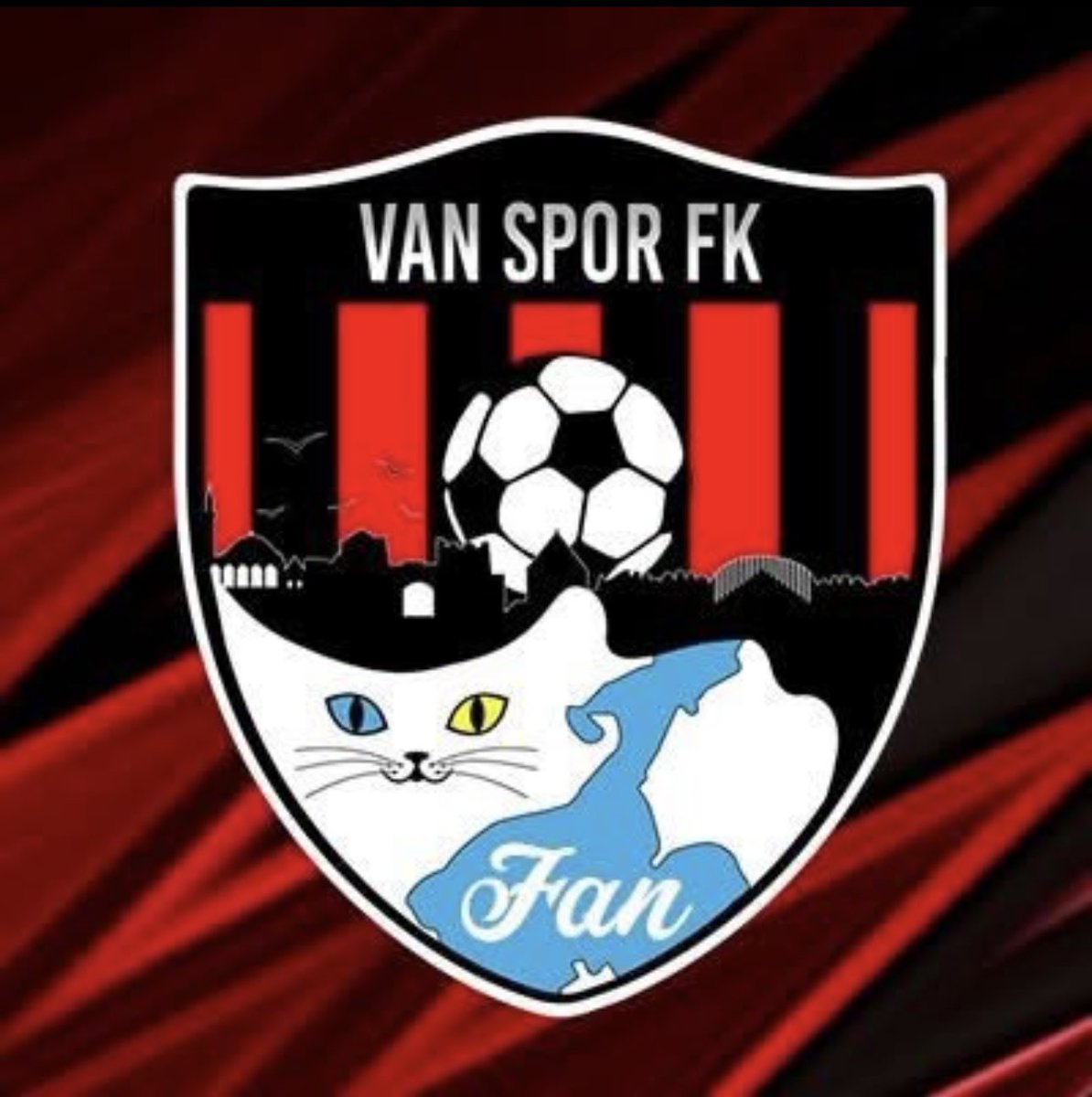 AbdrrhmnSeylan's tweet photo. Elazığ-Vanspor  karşılaşması sonrasında fiziki saldırıya uğrayan Vanspor’umuza geçmiş olsun dileklerimi iletiyorum. https://t.co/RYWuPmhfwP