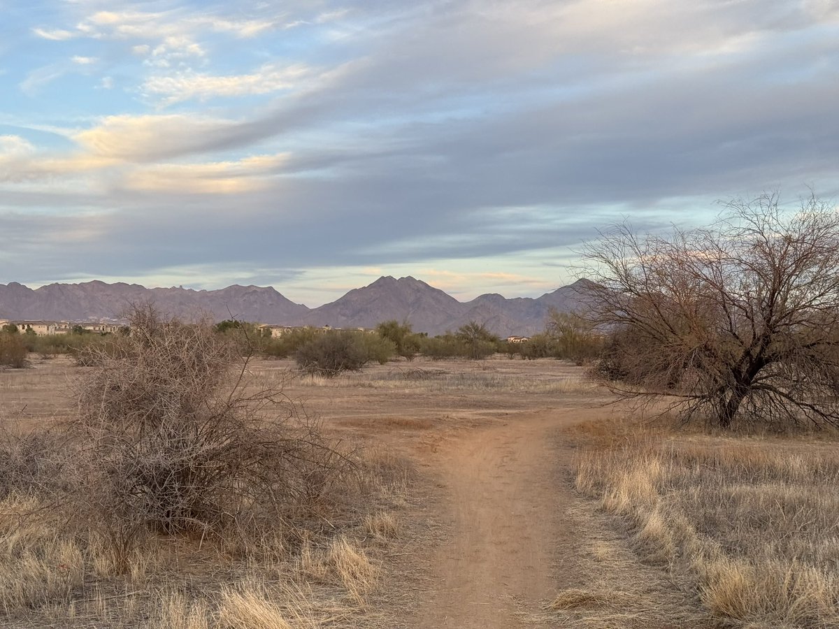 In Scottsdale AZ working learning and developing new strategies to help people be successful doing virtual health and Telehealth.  <a href="/securetelemed/">Dan Mountain</a> Also, keeping #5kaday alive in February!