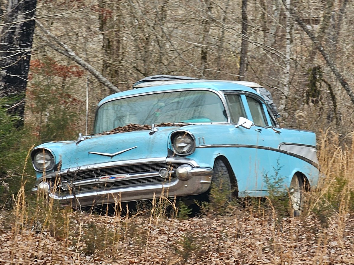 KeriButcher's tweet photo. In the heart of the woods lies a story untold. 🌳🚙 #EchoesOfElegance #vintage #RuralExploration #backroadsrunning #Chevy #57Chevy #BelAir #classiccars https://t.co/AeUC7O85Ws