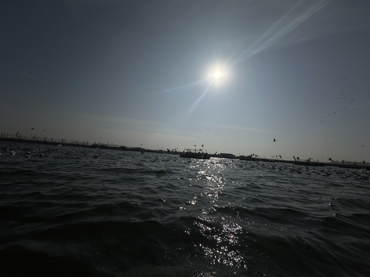 Prashant Pandhre tweet media