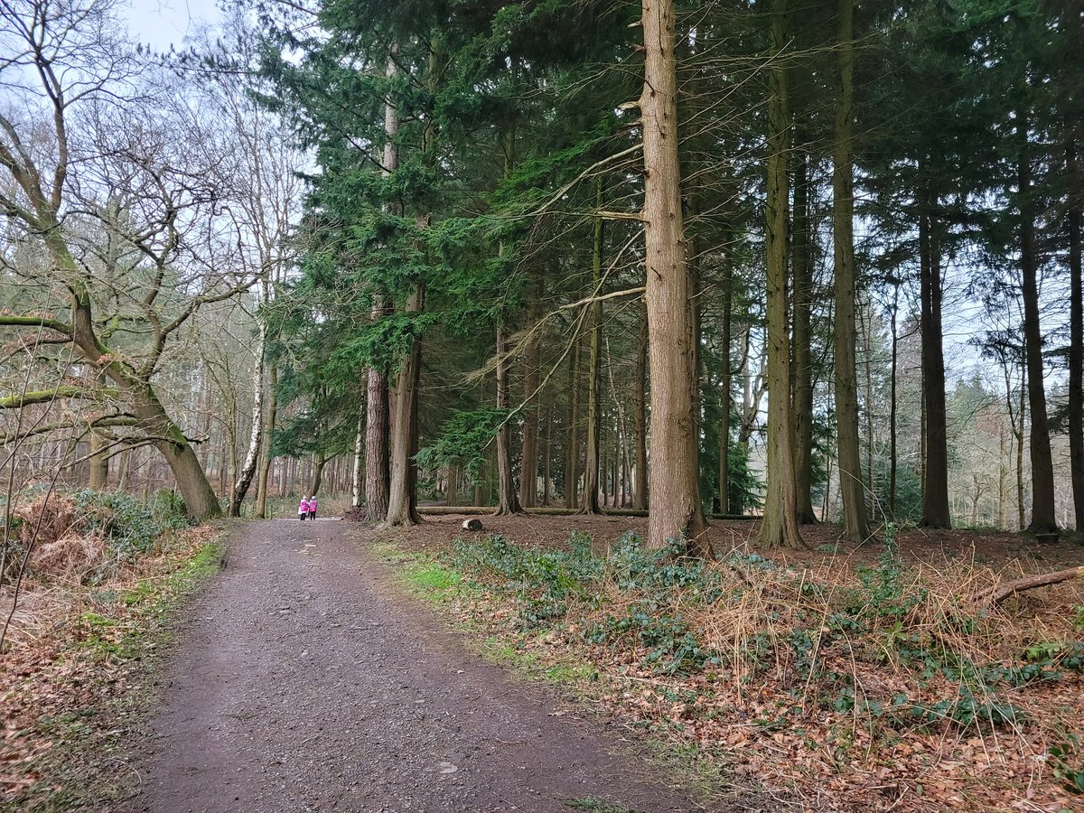 I'm so lucky to have such a beautiful #Parkrun virtually on my doorstep.  Alderley Park is a wonderful 2 lap trail run around the stunning woodland here. A big thank you to all the amazing volunteers today for making it happen. <a href="/parkrunUK/">parkrun UK</a> <a href="/UKRunChat/">UKRunChat</a> #mentalhealth