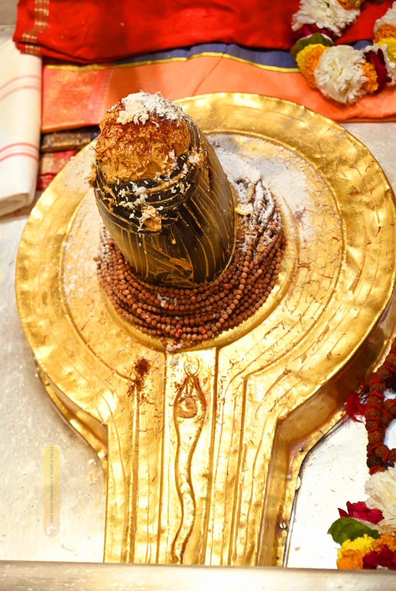 Prashant Pandhre tweet media