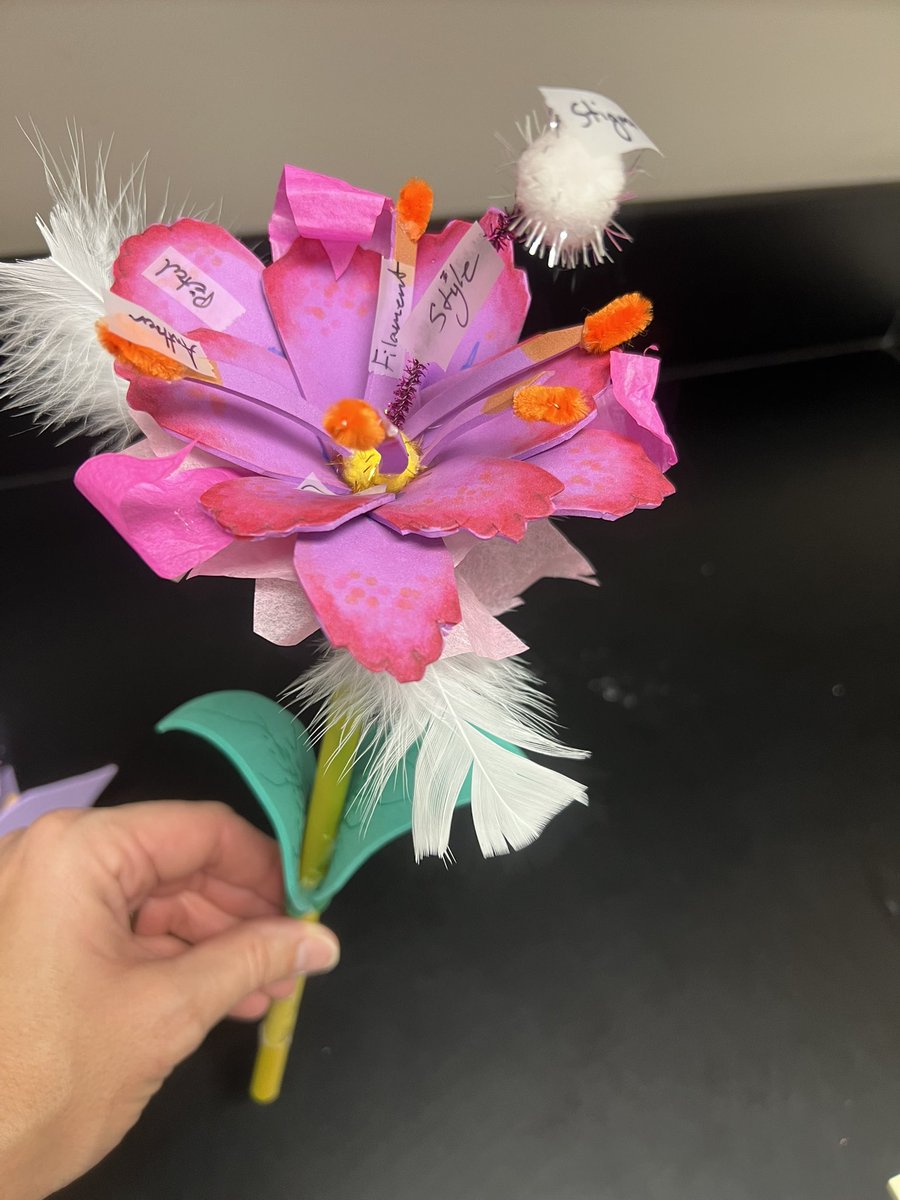 Kristen Adams tweet media