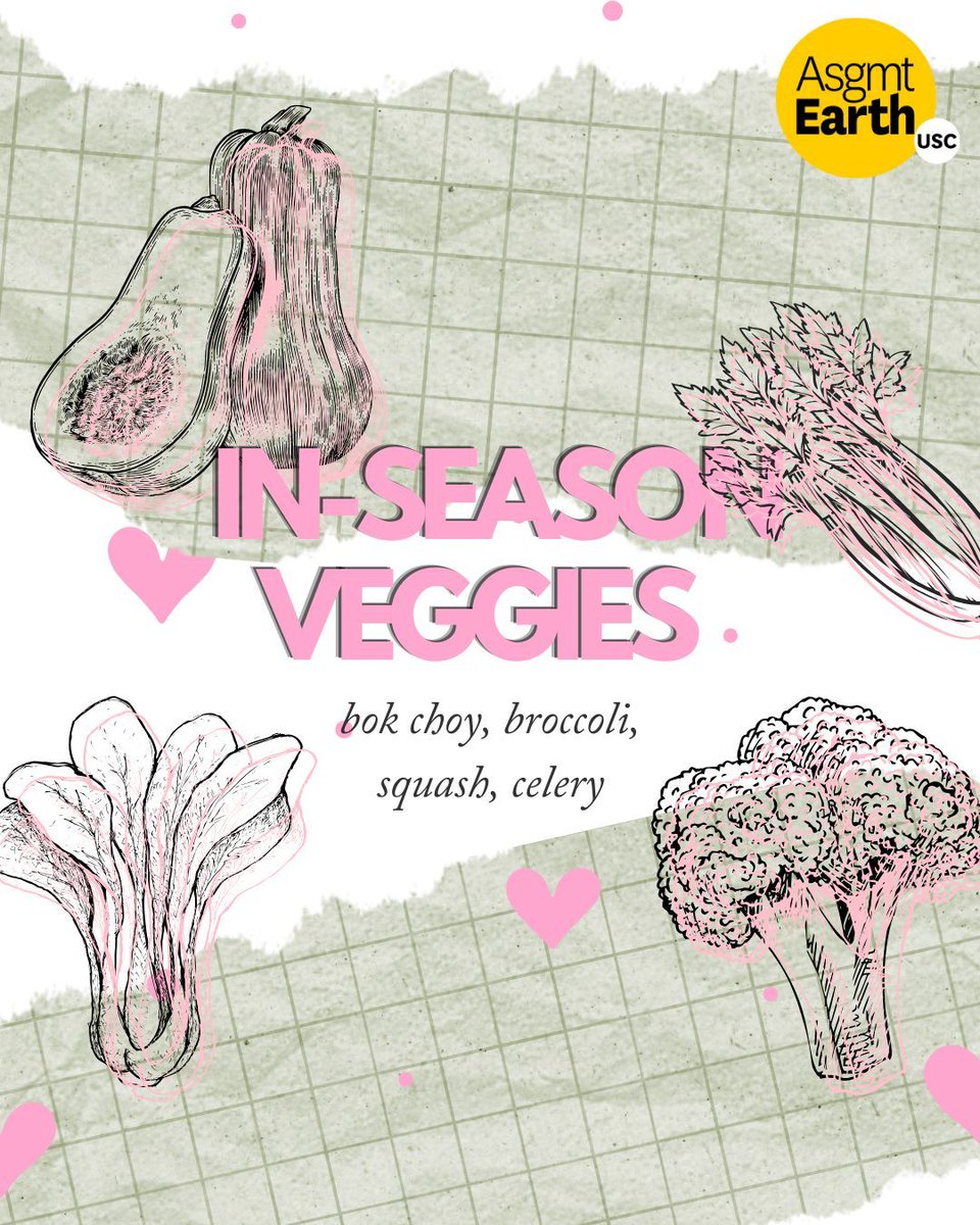 USC Sustainability tweet media