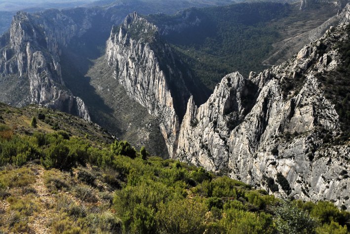Aquí puedes leer el manifiesto que han firmado las principales ONG ecologistas españolas en contra del Clúster Maestrazgo, un macroproyecto eólico que afectaría a áreas de alta sensibilidad ambiental de la provincia de #Teruel revistaquercus.es/noticia/8996/a…