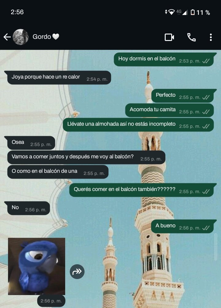 Lo mato, o qué?????