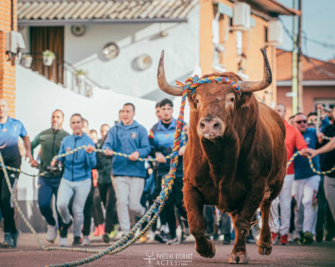 Hemos esperado hasta hoy para ver que emitía @TiempodeToros en <a href="/CMM_es/">Castilla-La Mancha Media</a> 
 Y debe ser que Yuncos (Toledo) no es de Castilla la Mancha...🇦🇷🇦🇩🇦🇨🇦🇮🇧🇫🇨🇦🇨🇮🇩🇪🙈🙈
¿De verdad? Ni tan solo mencionar la jornada del sábado??? 🤔🤔🤔
<a href="/CarmenAmoresG/">Carmen Amores García</a>