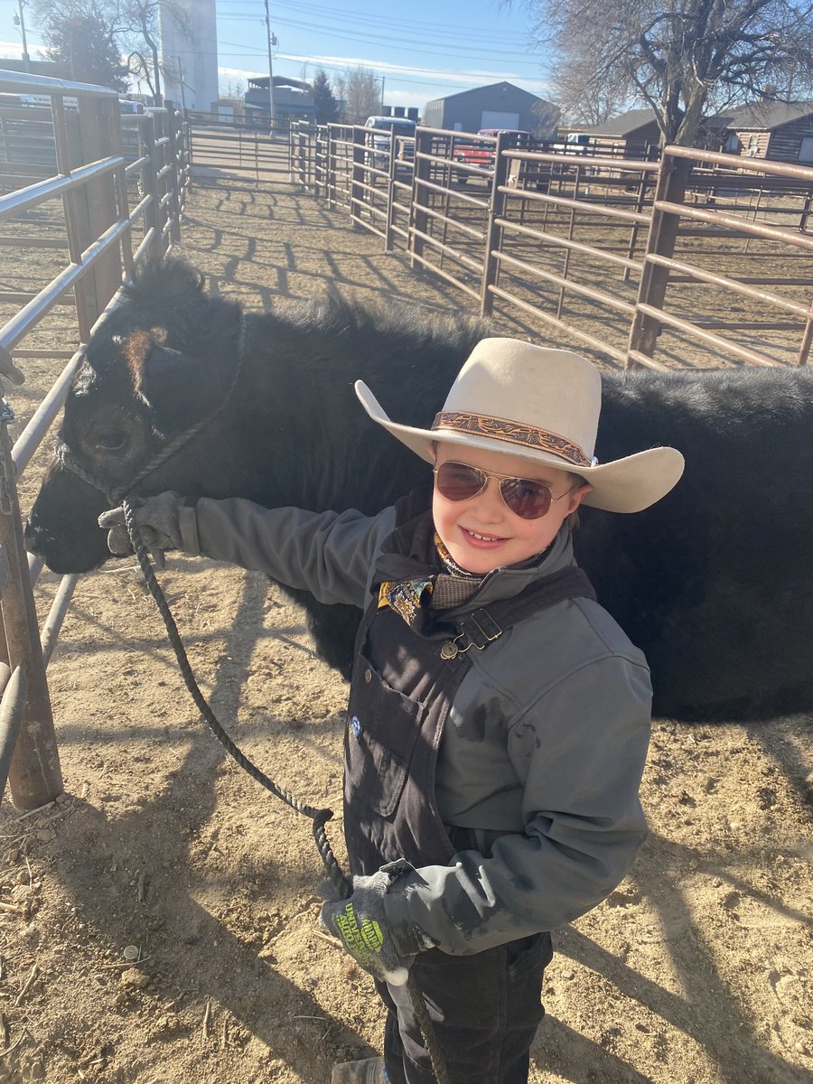 commish_pelton's tweet photo. I enjoy helping with Beef weigh in for Logan County 4H so many very inspiring kids who are the future leaders of this country. It really wasn’t that cold this morning. #coleg #copolitics #4Hgrowshere #eatbeef https://t.co/9SlQxvuyan