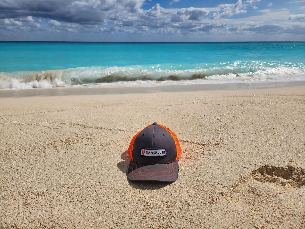 #ZillaNation <a href="/DarkPulseTech/">DarkPulse</a> 
Everyday life of a Darkpulse shareholder by the end of the year🌴🥥