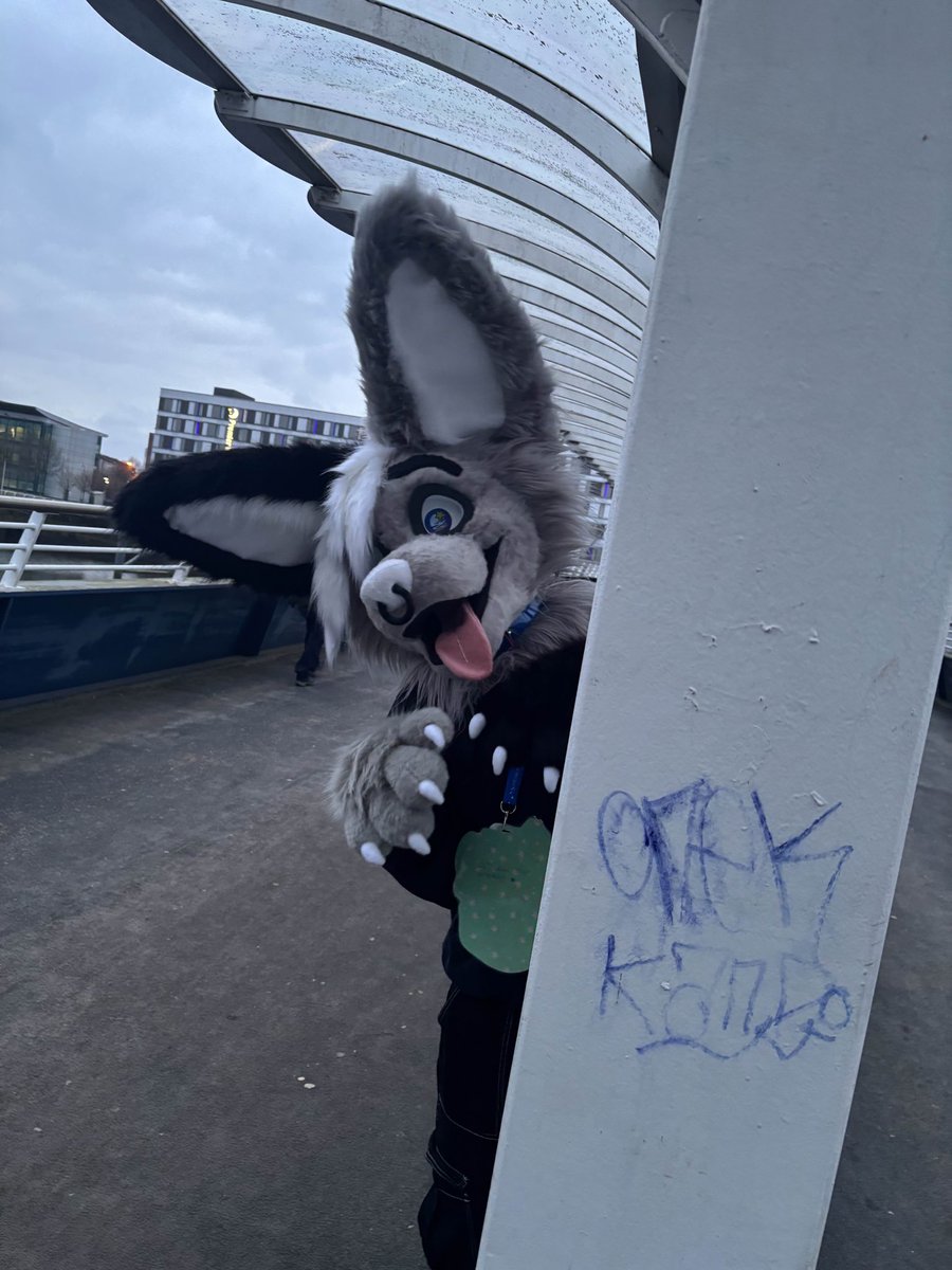 WHO LET HIM LOOSE ‼️‼️#scotiacon #sc25
<a href="/AzureGrapes/">Azure Grapes</a> U WERE SO LOVELY