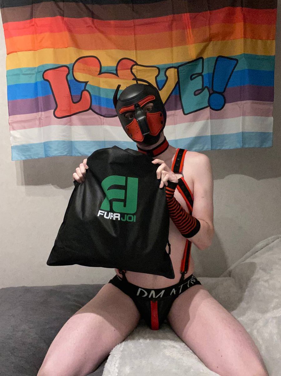 Yokris_pup_drone tweet media