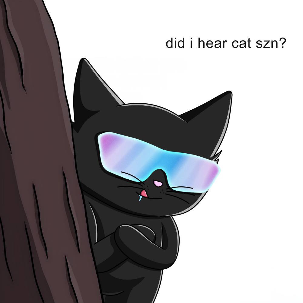 SOLCAT $MEOW | First Cat on Solana tweet media