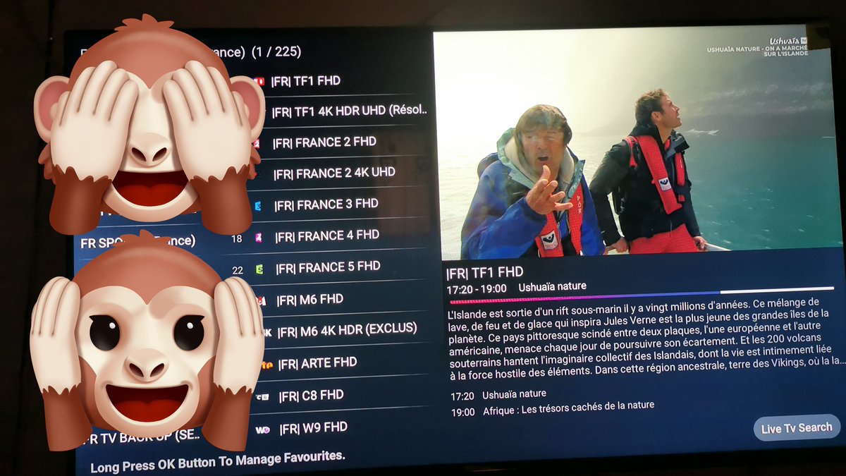 Le Roi De Streaming tweet media