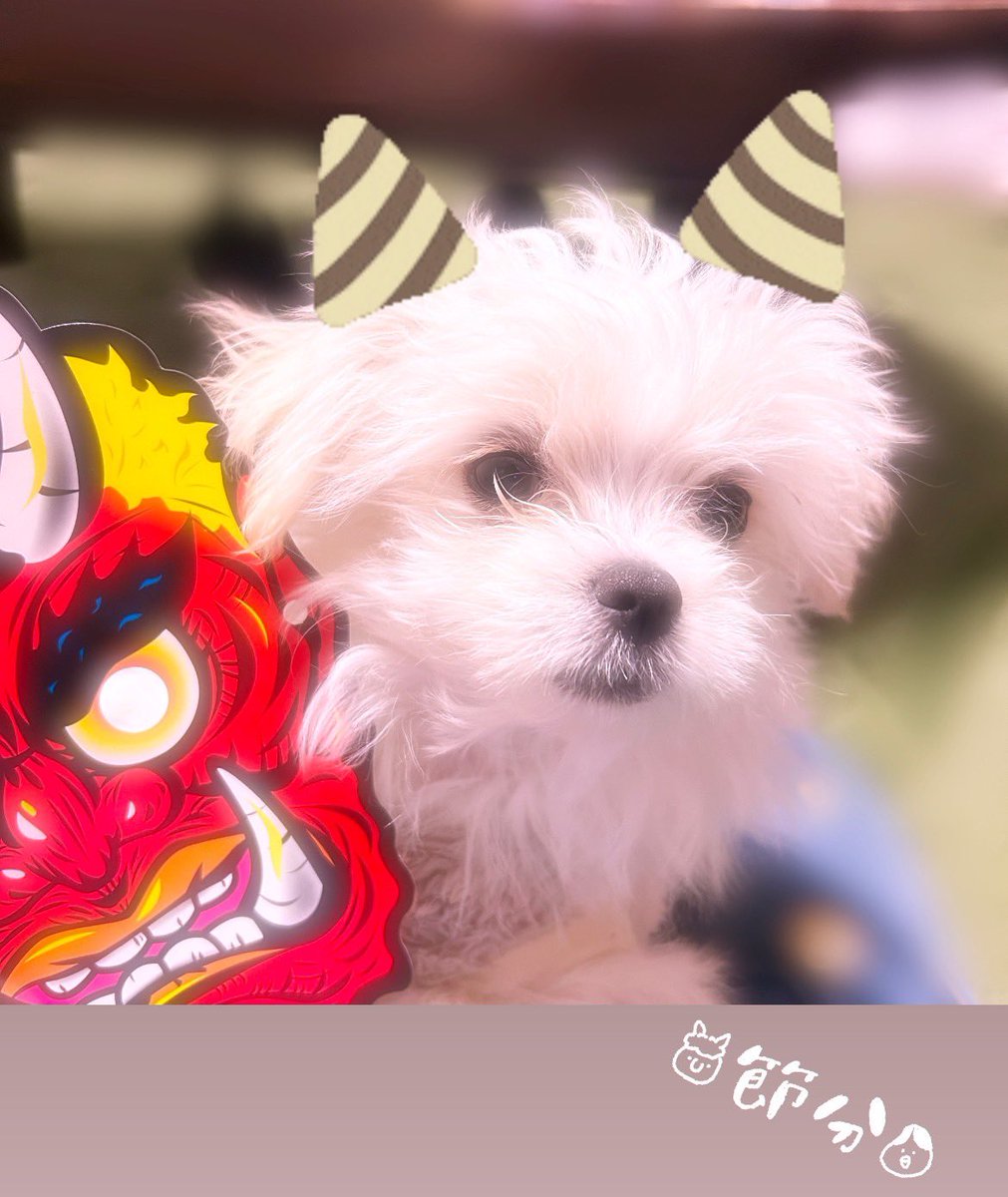 gmc3131's tweet photo. #白光FX600が欲しいぞ https://t.co/96gT3BsefT