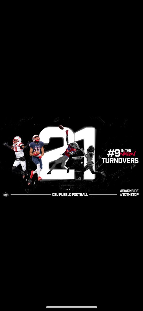 Thomas Webb tweet media