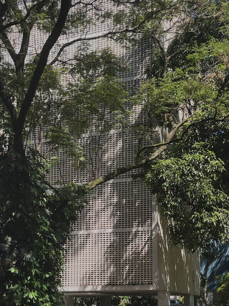 Bruno Helvetica da Silva tweet media