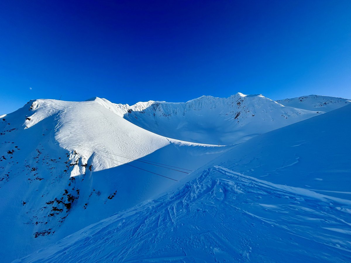 ERobbins tweet media