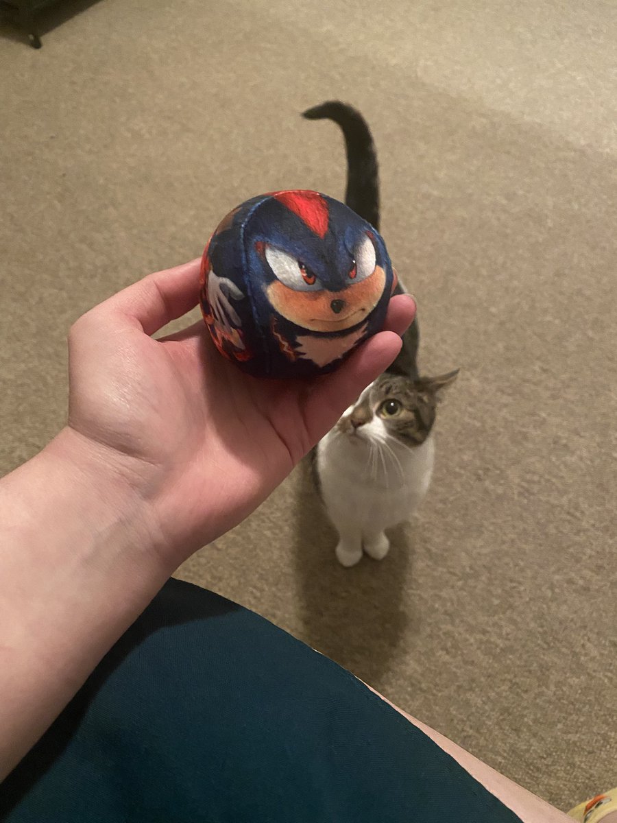 Howdy__Meowdy's tweet photo. :) https://t.co/Xu55a1uGyW