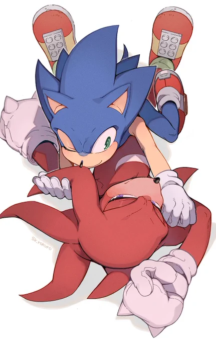 sonknux#sonic #sonknux 