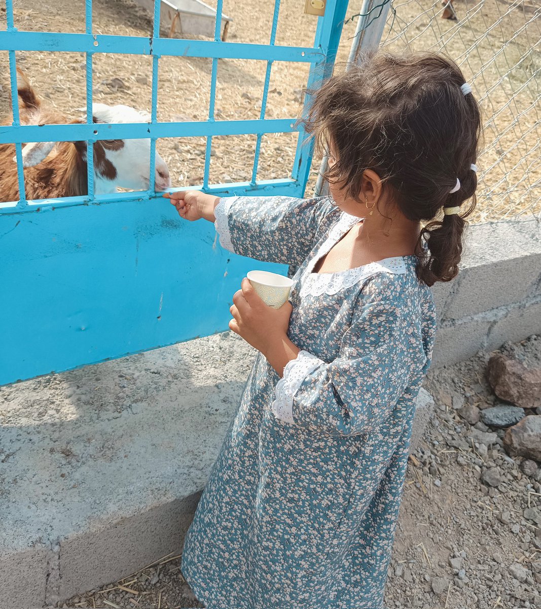 ftooma85's tweet image. السلام عليكم.
أما بعد
ايوا .. ايوا .. مال بلدان 😍

#عشوائيات