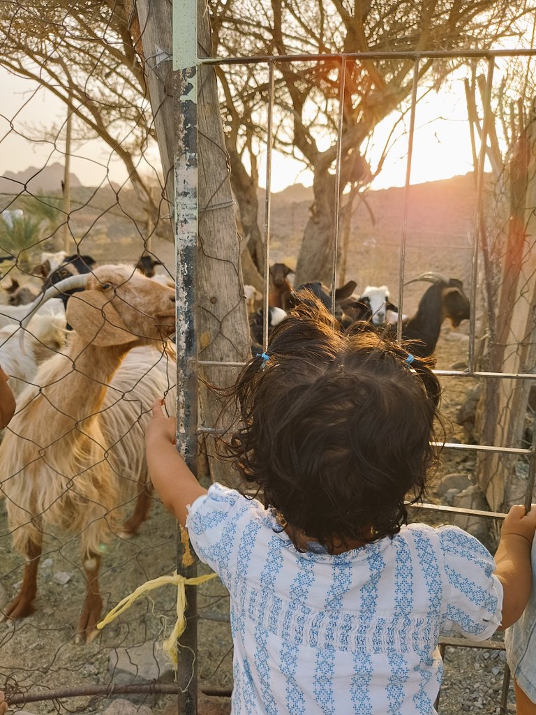 ftooma85's tweet image. السلام عليكم.
أما بعد
ايوا .. ايوا .. مال بلدان 😍

#عشوائيات