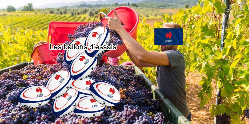 C'est la saison des vendanges : ) : )

#XvdeFrance #ANGFRA