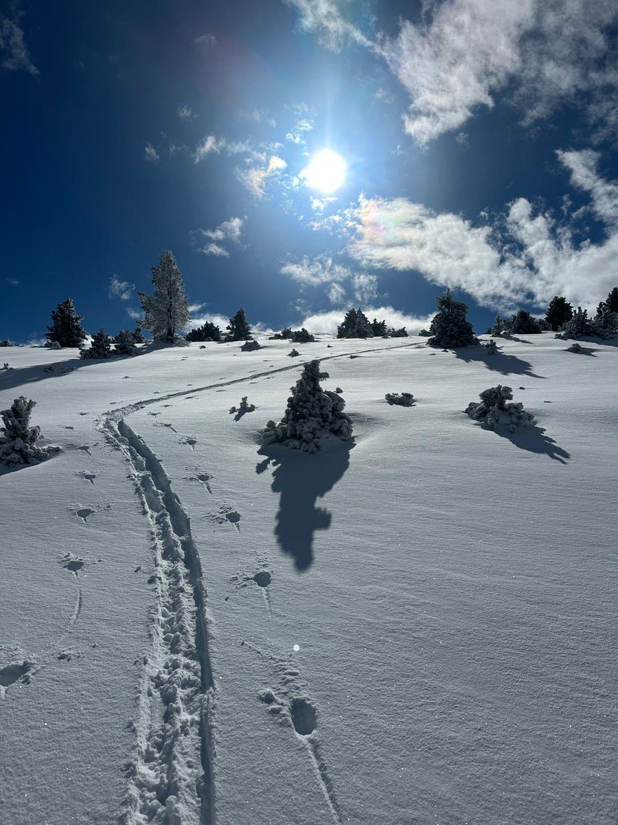 ester_risco's tweet photo. Potser no ha nevat tant com voldríem, però avui a la @MasellaPirineu hem aprofitat el que hi ha per fer una bona sortida de skimo! ❄️⛷️ Que duri! 
#Skimo #Masella #canviclimàtic https://t.co/2vgvq1XeOZ