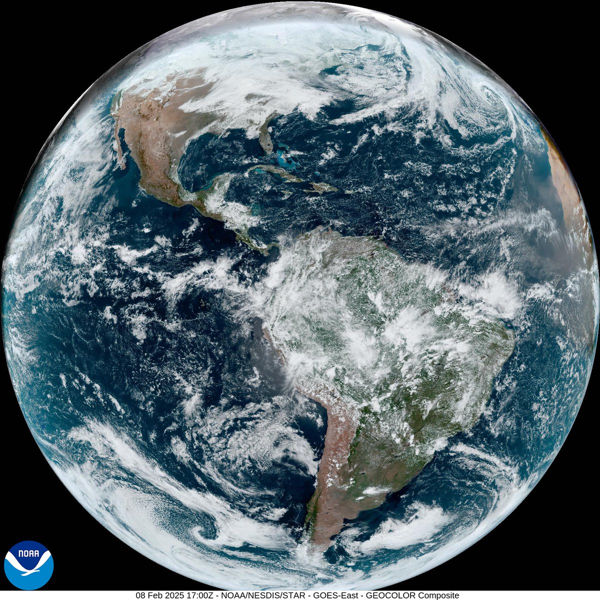 Earth Selfie Bot tweet media
