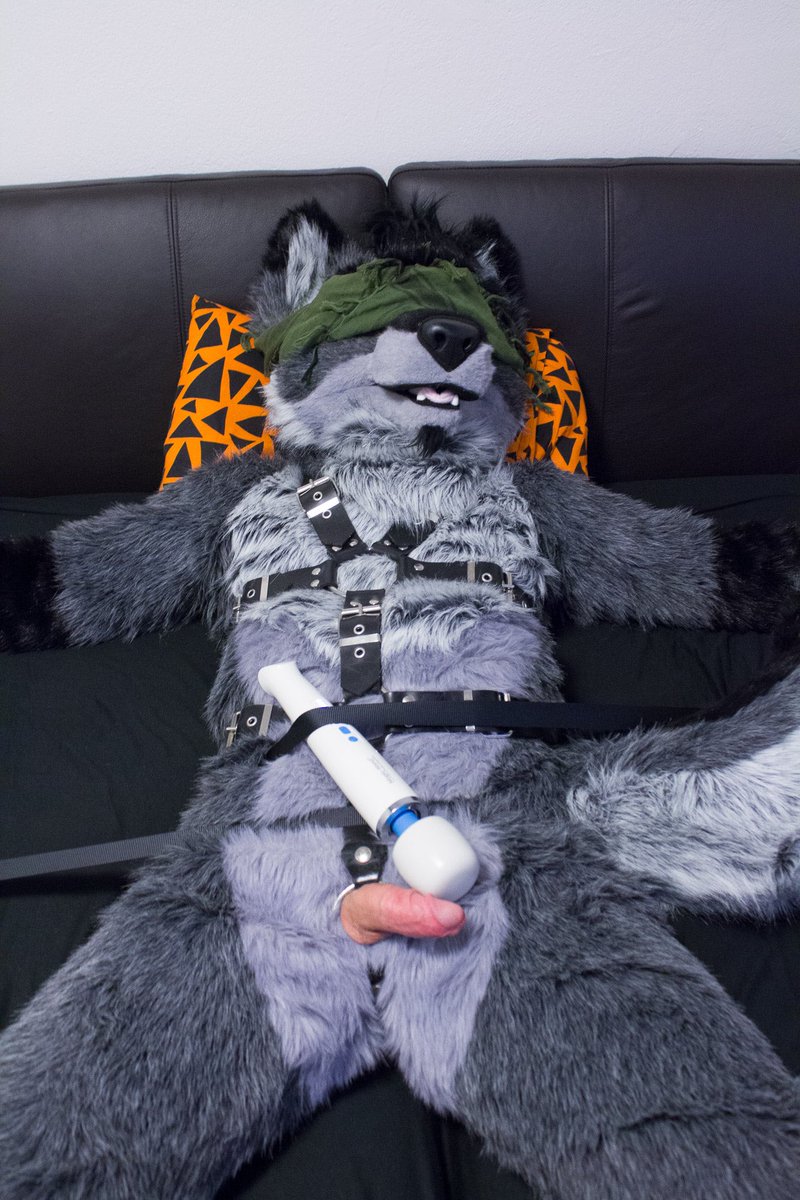 UnzippedWuff's tweet photo. Oh no! Let me go, I beg you 😏 

📸 by @MellowLemur https://t.co/xHgMpKGHJQ