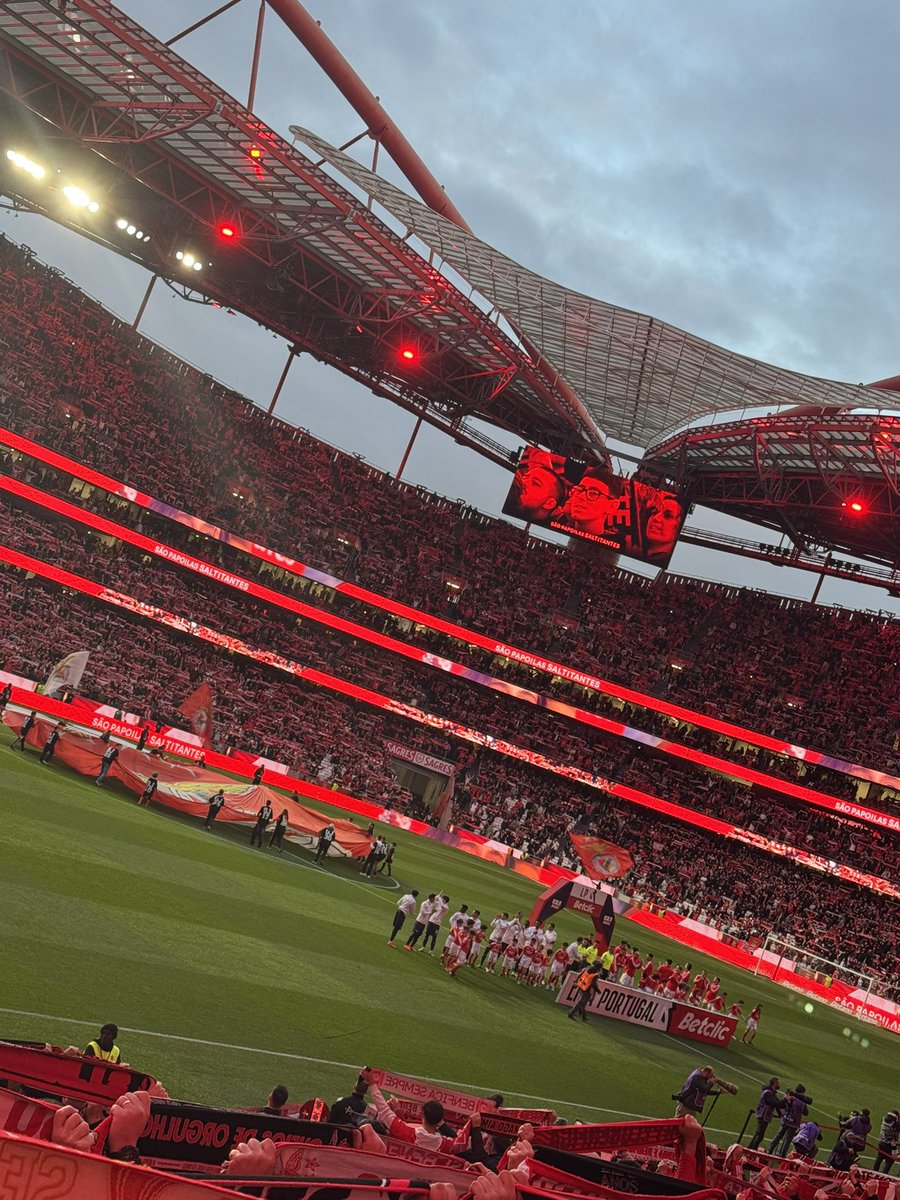 OCasanova8's tweet photo. Salud🍺! 🇵🇹⚽️🏟️ #benifica https://t.co/4L2ZA9Gqel