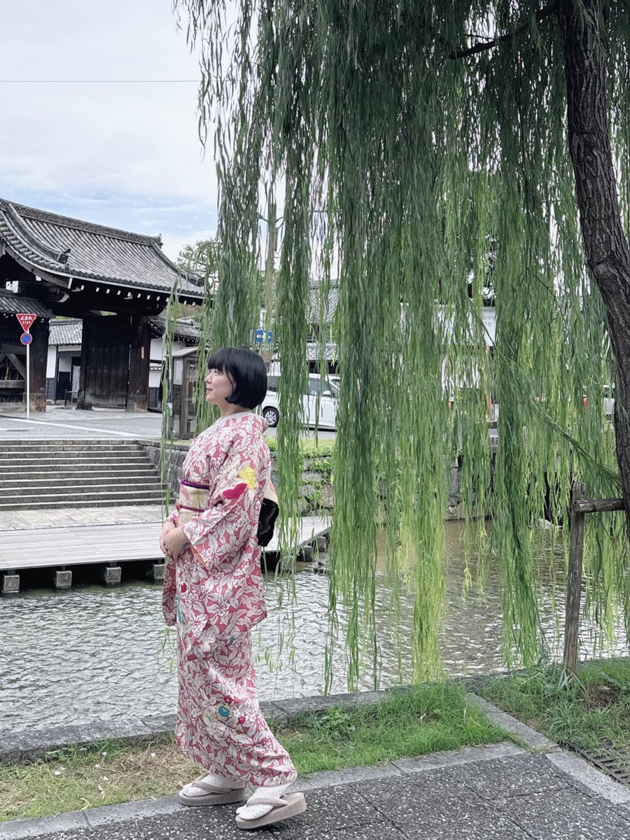 chi-yeah！🎴 tweet media