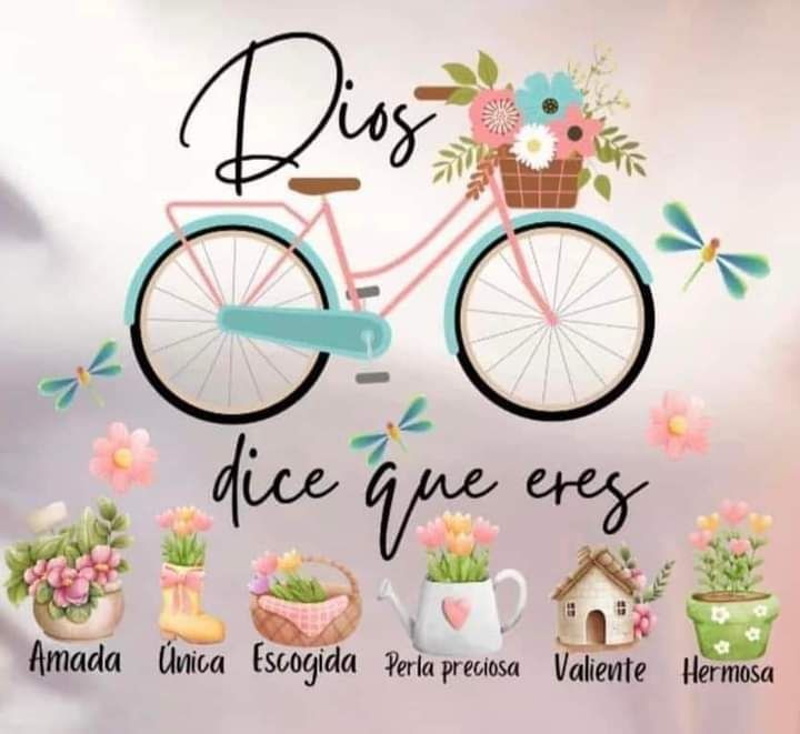 Oración Diaria®™ tweet media