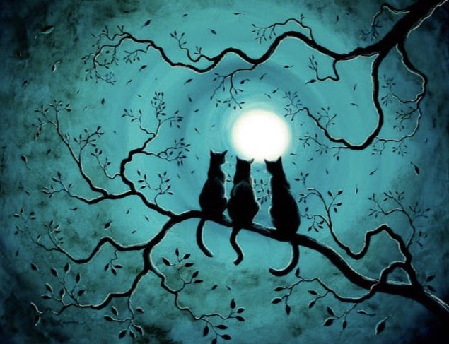 catgirl321's tweet photo. Please remember to CLICK to DONATE every day for the @CrashsLanding kitties in memory of #Diesel #BigWhite #Scout and #DaHelp together forevermore in God’s Paradise💫✨
FREE, SUPER EASY, SUPER QUICK!
#weeti #cats #rescue #MakeADifference #CLICKtoDONATE
https://t.co/uZ07EOhZZC
1/2 https://t.co/v1qUdTJDkz