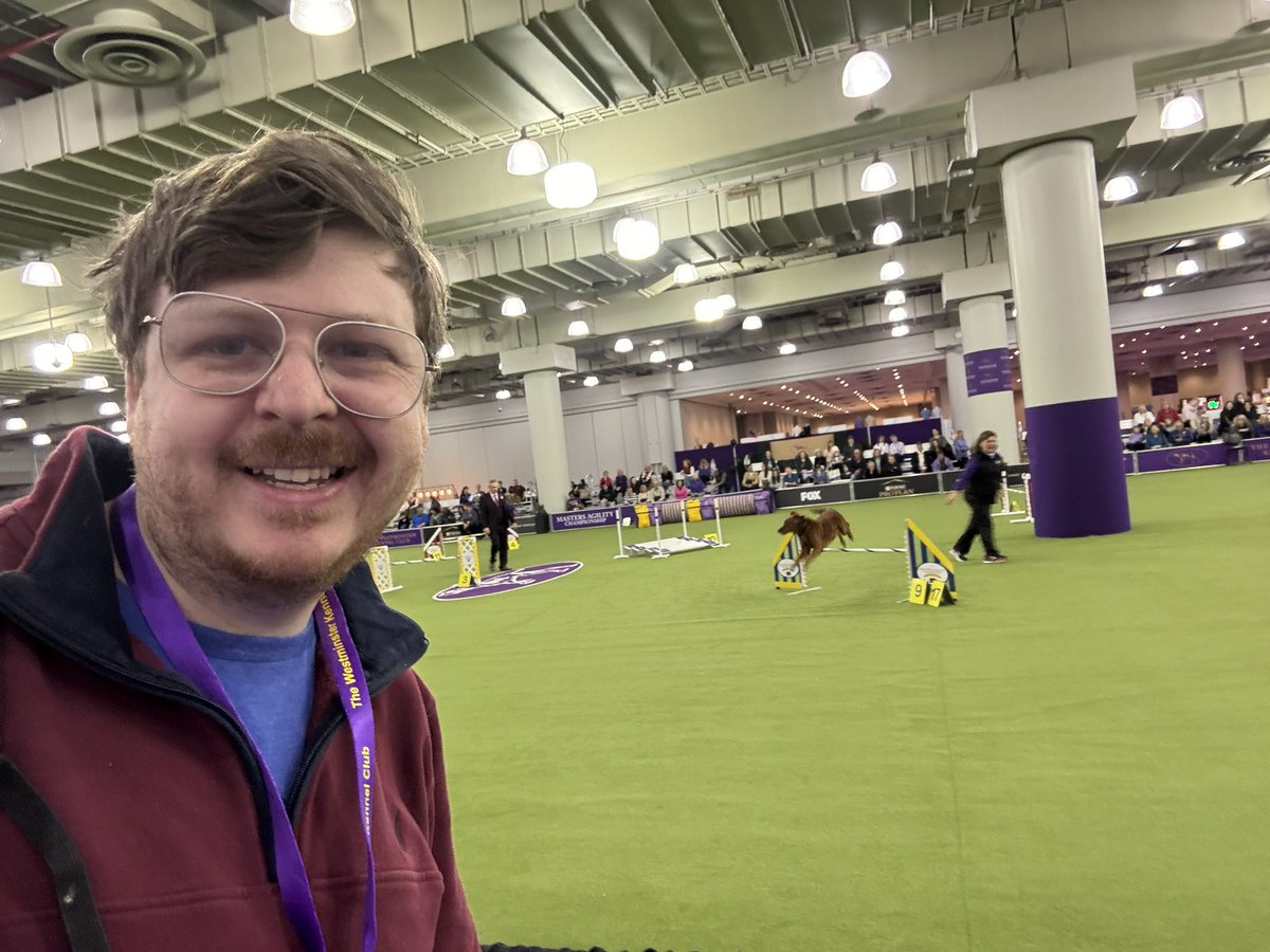 rodger's tweet image. Here at the biggest sporting event of the weekend: the Westminster Dog Show and agility championship