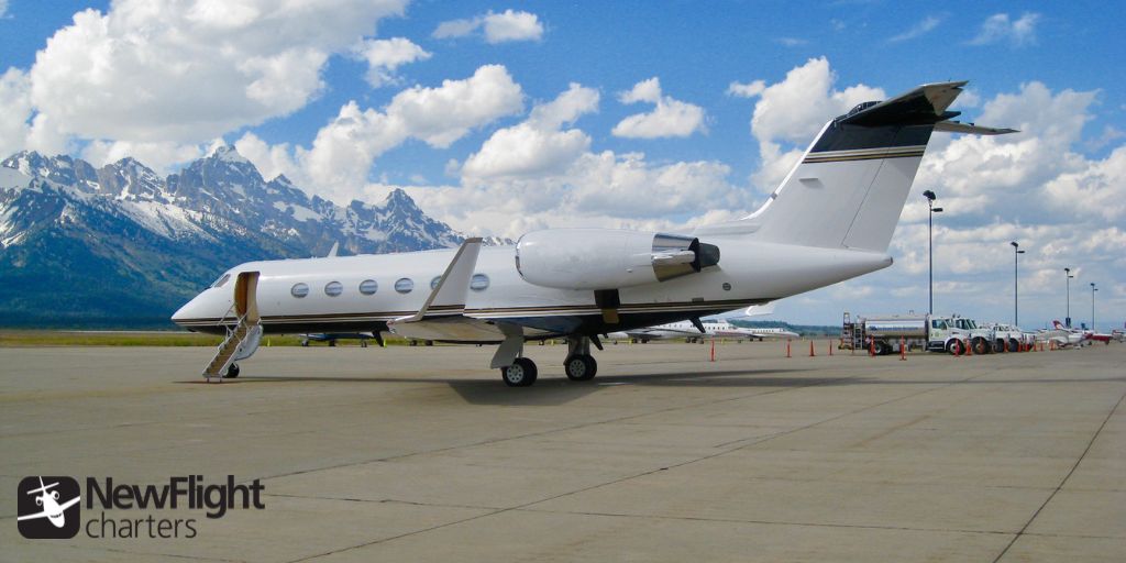 New Flight Charters tweet media