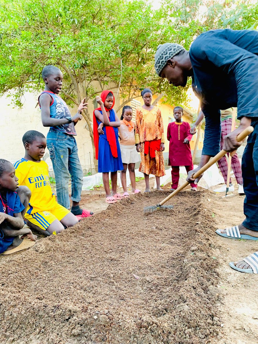 #VENDREDIVERT#]
Dans le cadre du projet "École Verte", nous avons organisé une séance de pratique de semis dans notre jardin écologique, de l'école élémentaire cité Niakh.  
Ensemble, cultivons un avenir plus vert !  
#EngagementCommunautaire
#USAID
#unchk
#senegalacademy
#IA