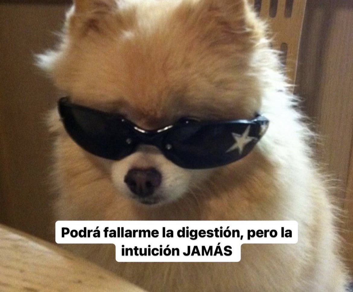 El Pandita Rojo (@elpanditarojo_) on Twitter photo 