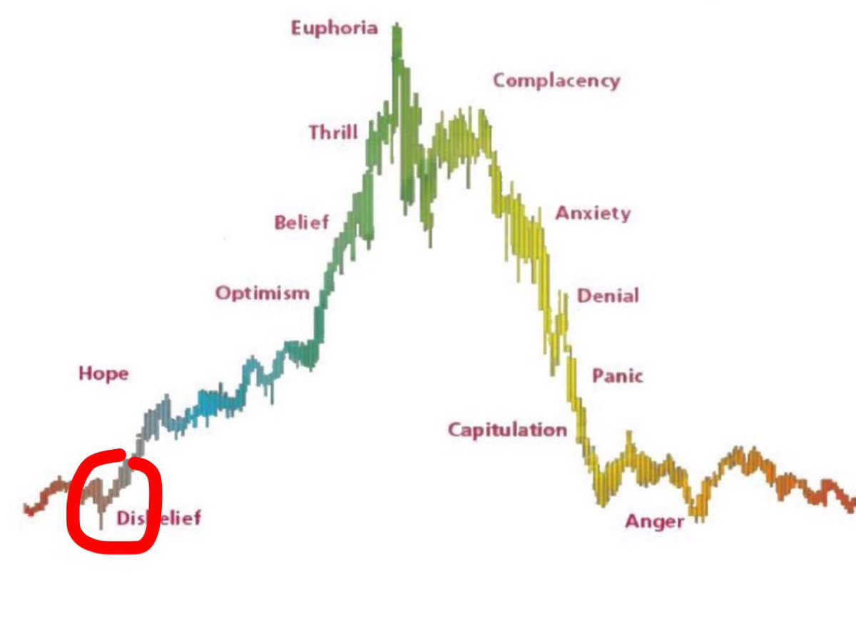 With all the negativity and recent crash I would say #XRP is in the disbelief  phase, which means we have to go so much higher. What are your thoughts?