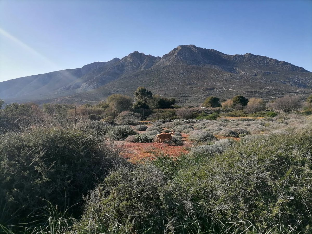 Jennifer Barclay tweet media