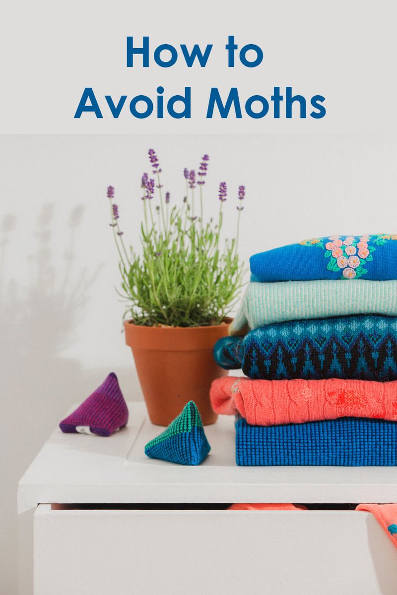 collingwoodnorr's tweet image. How to avoid moths in your knitwear: 

collingwoodnorrisdesign.com/knitwearblog/h…

#caretips #knitwear #lovedclotheslast #SustainableLiving #reducewaste