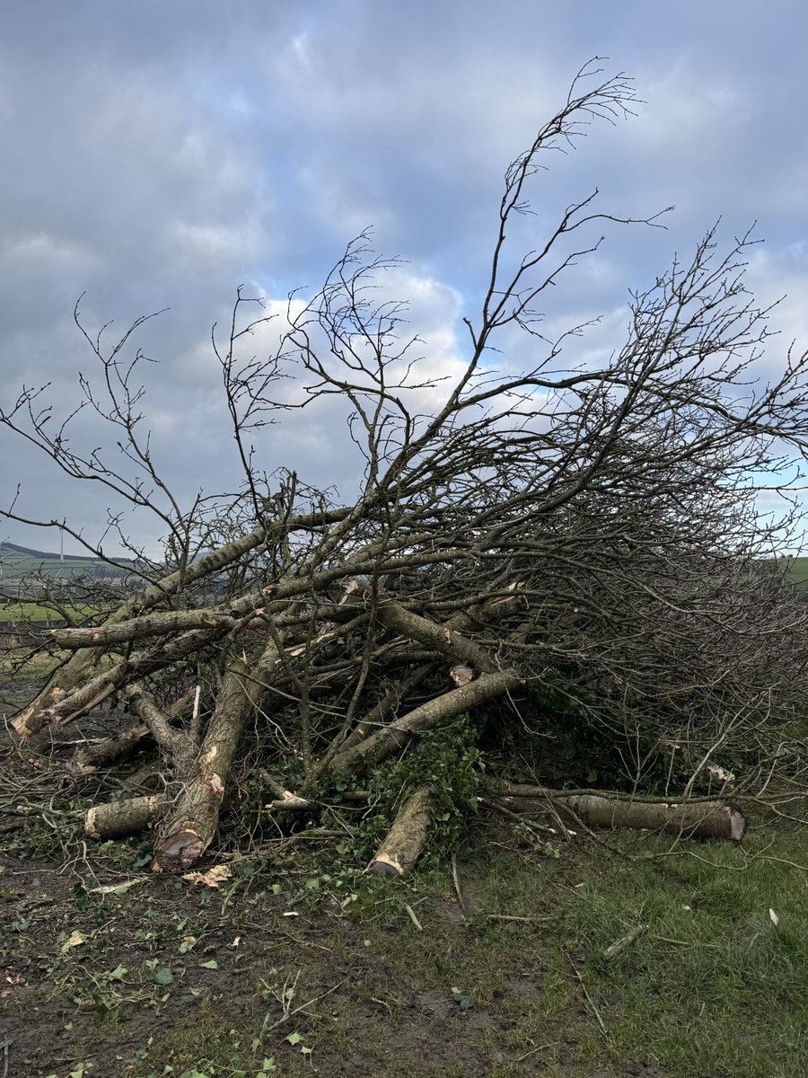 Mervyn Bailey tweet media