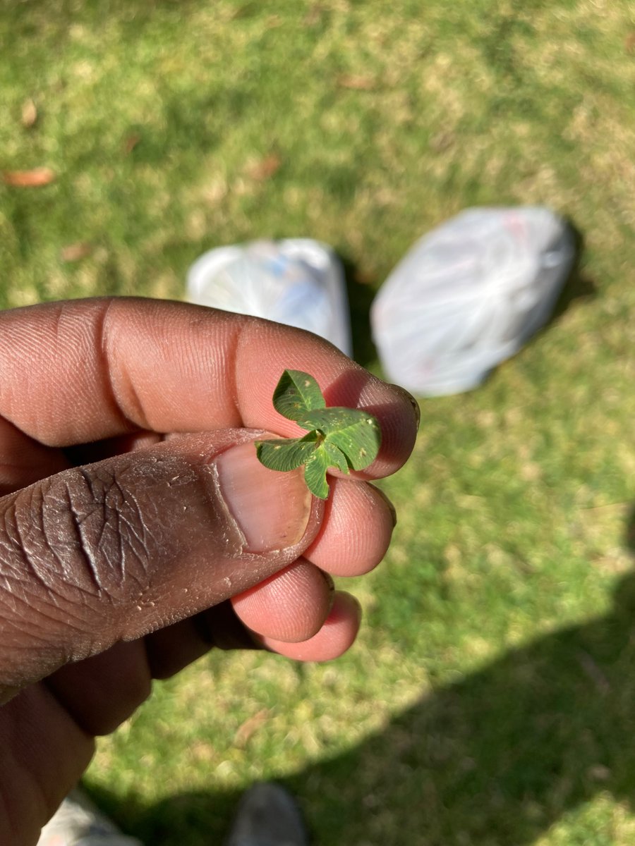 infactboothang's tweet photo. 🍀 https://t.co/TDAxqjE0mH