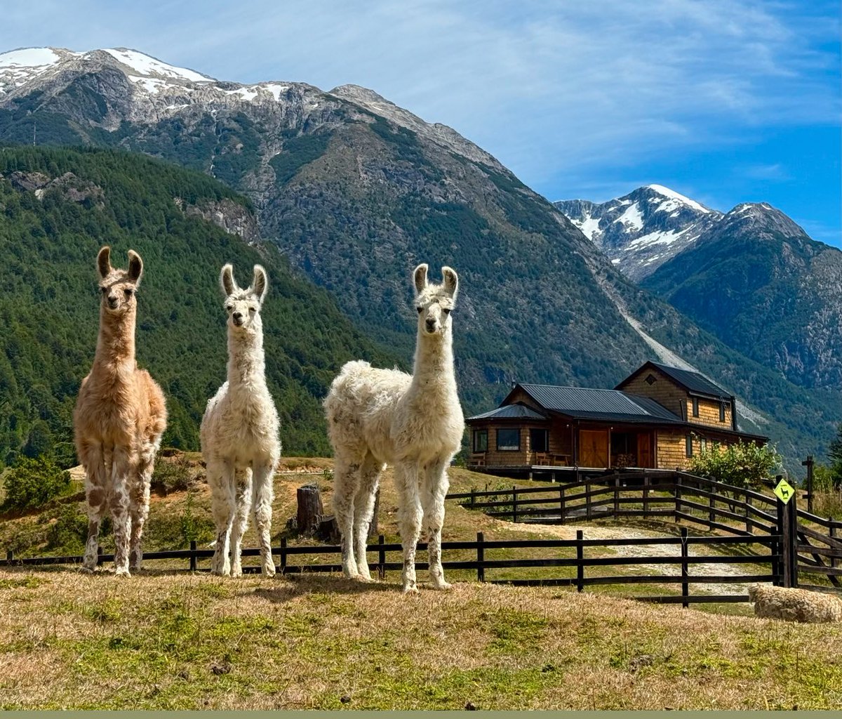 If you want to explain to these guys what a great player Sterling Sharpe was, they are all ears. 😃 #GoPackGo #sterlingsharpe