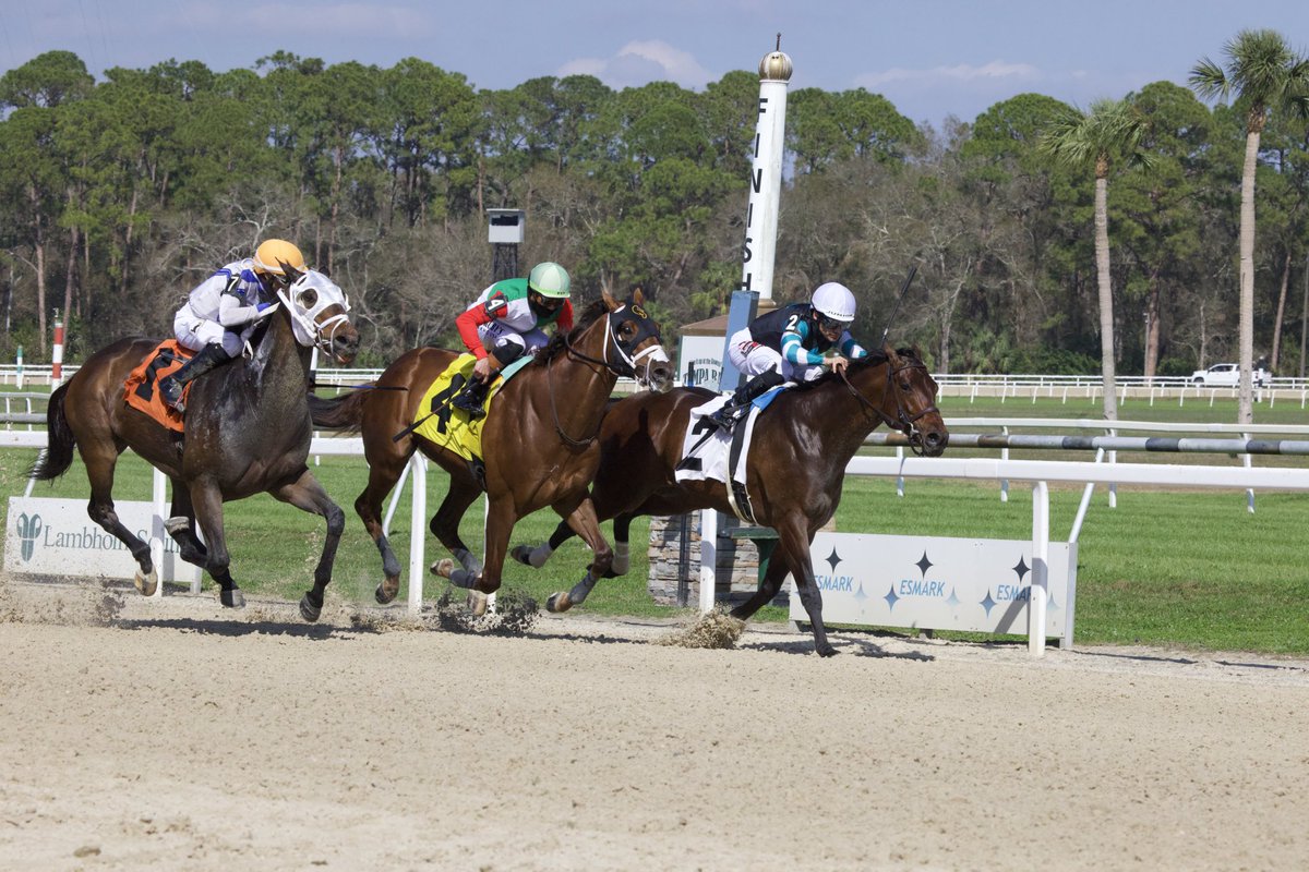 TampaBayDownsFL's tweet image. Nutella Fella and @JuniorandKellyA 
win the 41st Running of the Pelican Stakes, for trainer @GaryContessa and owner @BellGableStable!  Congratulations to the winning connections! 🥂🍾🏆 #stakeswin