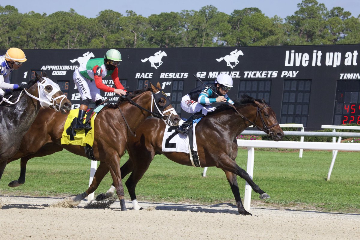 TampaBayDownsFL's tweet image. Nutella Fella and @JuniorandKellyA 
win the 41st Running of the Pelican Stakes, for trainer @GaryContessa and owner @BellGableStable!  Congratulations to the winning connections! 🥂🍾🏆 #stakeswin