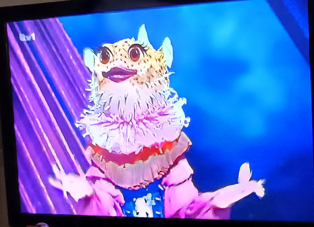 GrantTheHatter's tweet photo. The most beautiful voice they've ever had on ..... #maskedsingeruk 🤔 https://t.co/mDuaIwGoY6