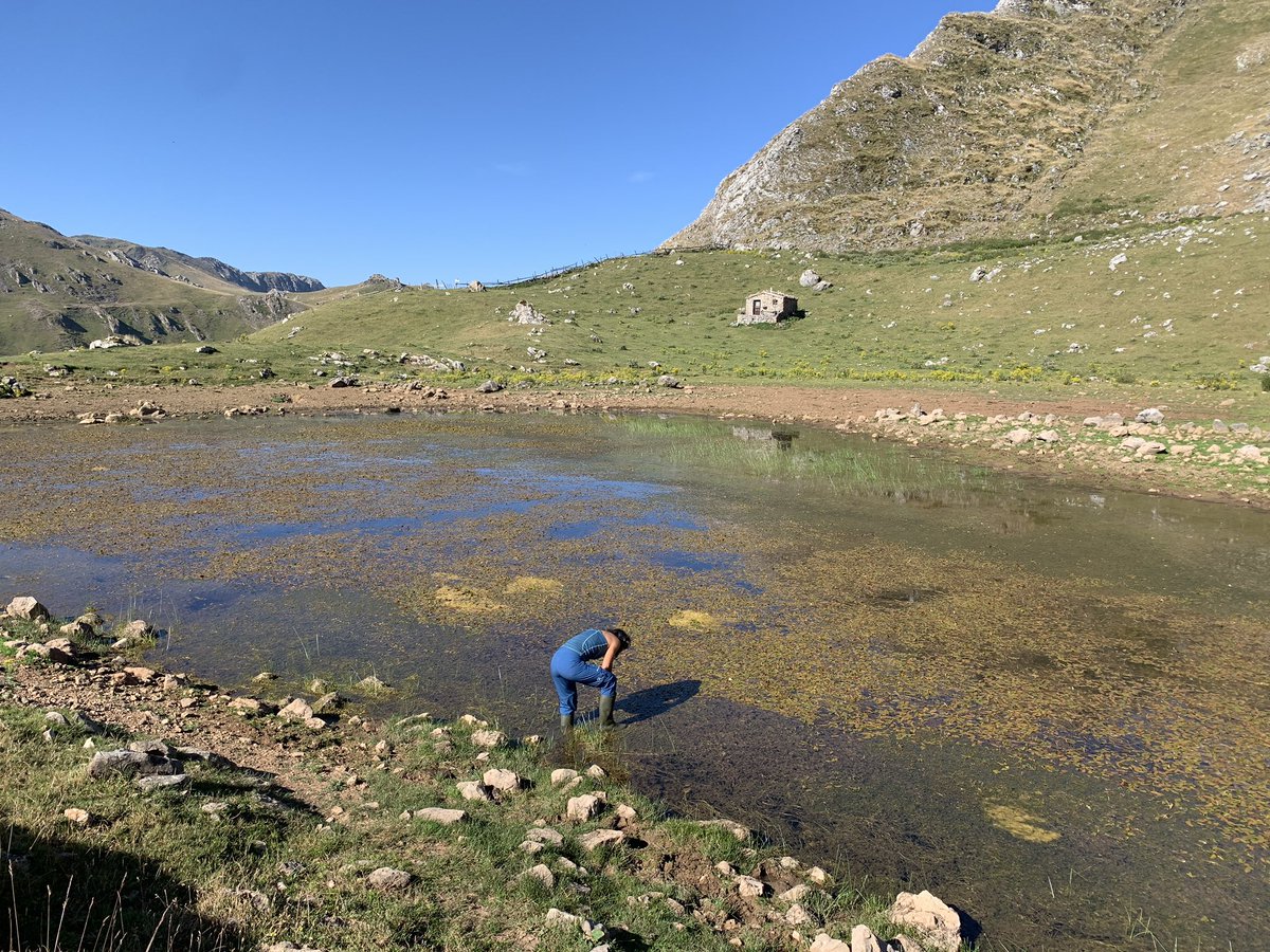 sebicop.bsky.social (@sebicop) on Twitter photo 📣 ¡Nuevo artículo en Conservación Vegetal!
🌿 Seguimiento y evaluación del estado de conservación de la flora en España🌱
<a href="/mitecogob/">Transición Ecológica y Reto Demográfico</a> ha impulsado un proyecto clave para mejorar el conocimiento sobre la flora protegida y las especies exóticas invasoras en España. 📣 ¡Nuevo artículo en Conservación Vegetal!
🌿 Seguimiento y evaluación del estado de conservación de la flora en España🌱
<a href="/mitecogob/">Transición Ecológica y Reto Demográfico</a> ha impulsado un proyecto clave para mejorar el conocimiento sobre la flora protegida y las especies exóticas invasoras en España.